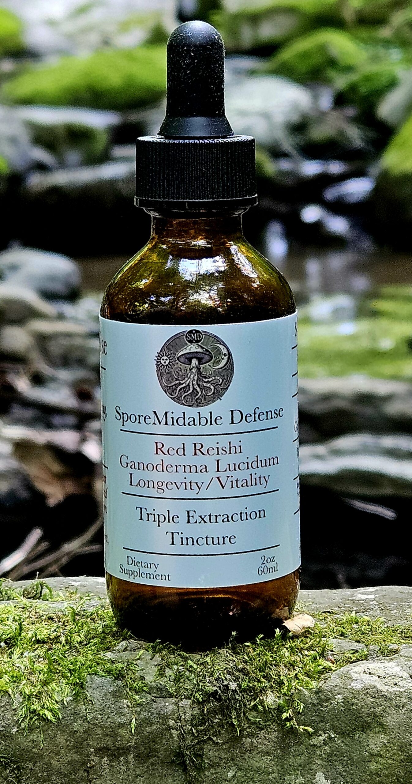 Red Reishi - Image 4