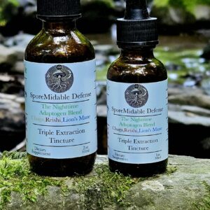 The Nighttime Adaptogen Blend
